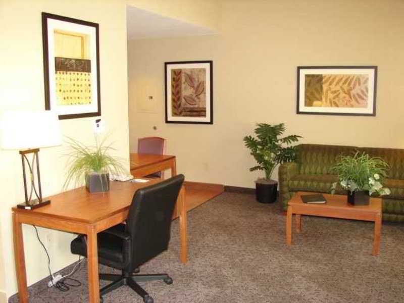 Homewood Suites By Hilton Irving-Dfw Airport Rum bild